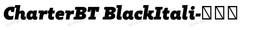 CharterBT BlackItali字体转换 CharterBT BlackItali字体转换